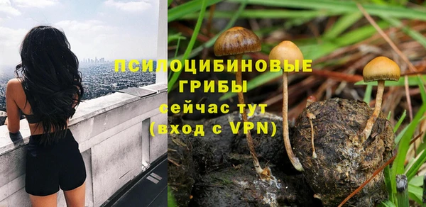гашишное масло Богородицк