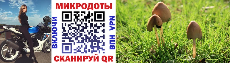 Галлюциногенные грибы Cubensis  Тверь 